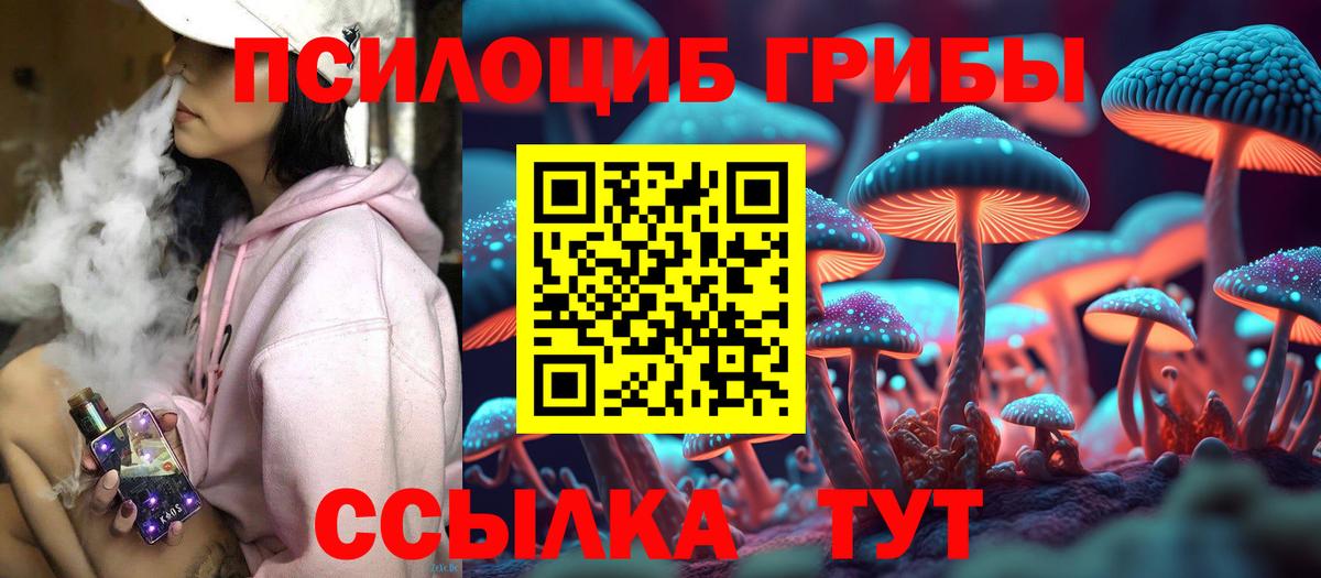 Псилоцибиновые грибы Psilocybe Альметьевск